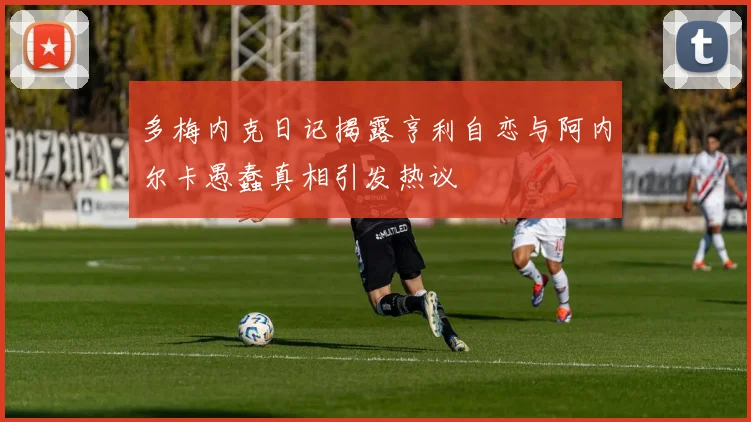 多梅内克日记揭露亨利自恋与阿内尔卡愚蠢真相引发热议