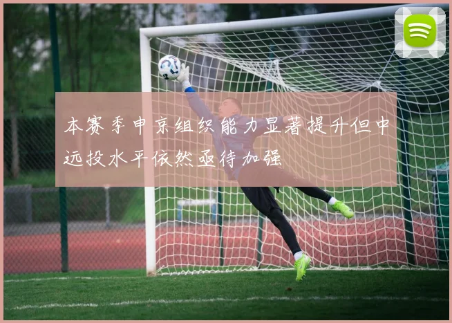 本赛季申京组织能力显著提升但中远投水平依然亟待加强